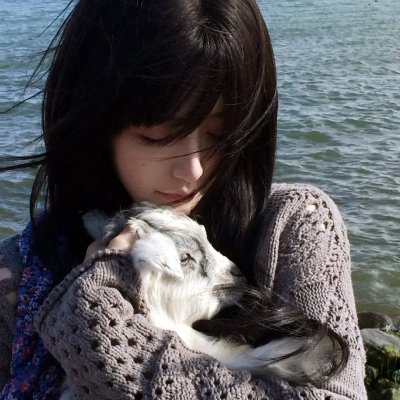 美感游击队