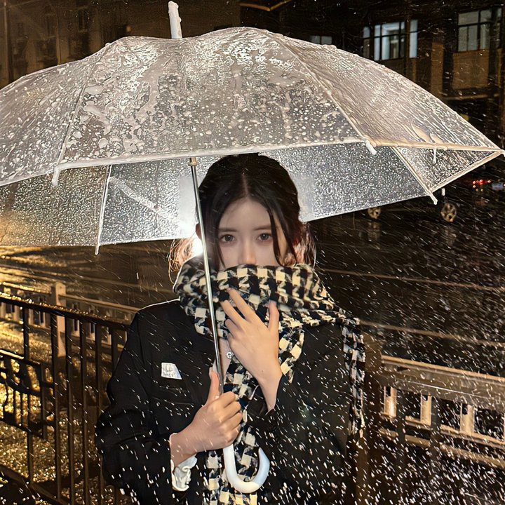 女驸马